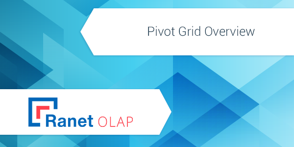 Ranet OLAP Pivot Grid Overview
