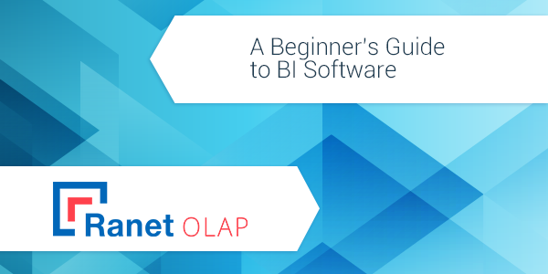 Ranet OLAP: A Beginner’s Guide to BI Software