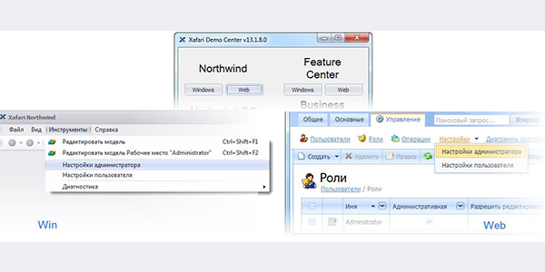 Application settings in the example application Xafari Northwind